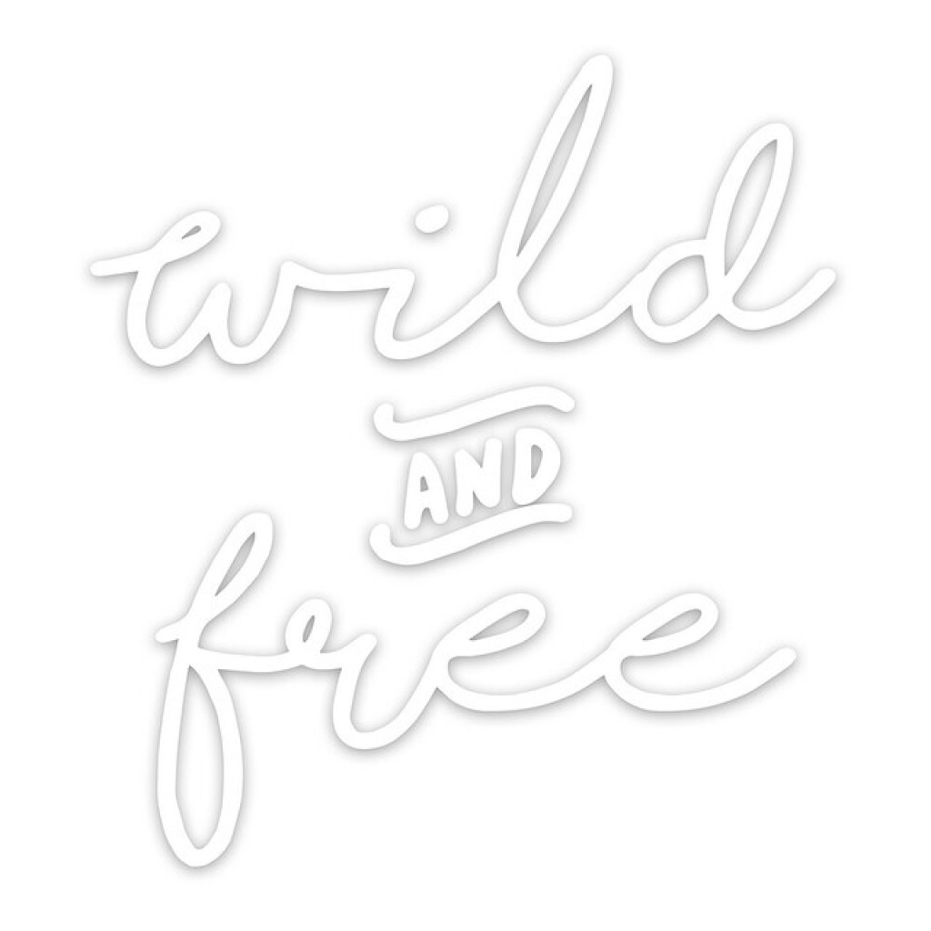 Advanture Shop Autoaufkleber Wild & Free